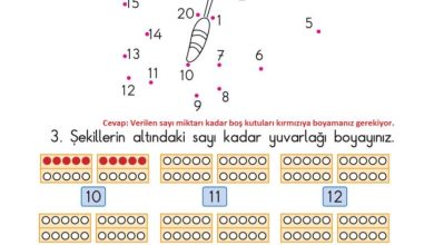 1. Sınıf Matematik Meb Yayınları Sayfa 49 Cevapları