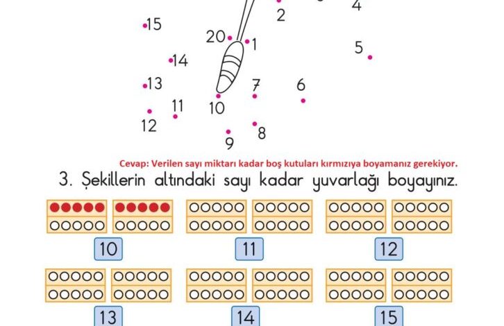 1. Sınıf Matematik Meb Yayınları Sayfa 49 Cevapları