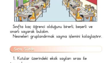 1. Sınıf Matematik Meb Yayınları Sayfa 51 Cevapları