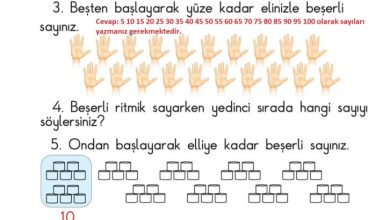 1. Sınıf Matematik Meb Yayınları Sayfa 52 Cevapları