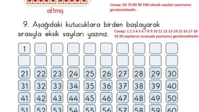 1. Sınıf Matematik Meb Yayınları Sayfa 53 Cevapları