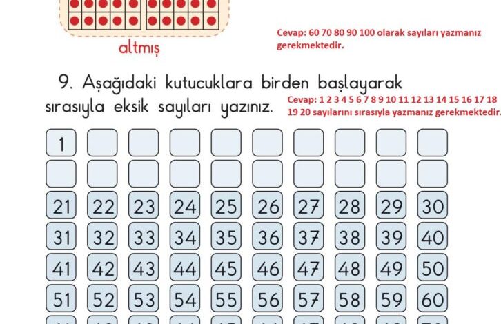 1. Sınıf Matematik Meb Yayınları Sayfa 53 Cevapları