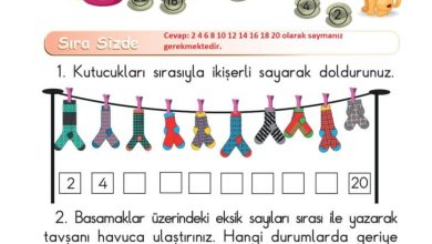 1. Sınıf Matematik Meb Yayınları Sayfa 54 Cevapları