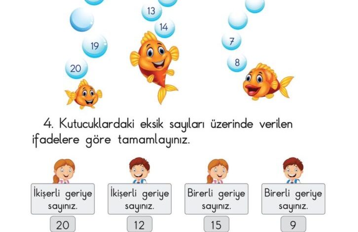 1. Sınıf Matematik Meb Yayınları Sayfa 55 Cevapları