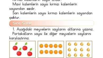 1. Sınıf Matematik Meb Yayınları Sayfa 57 Cevapları