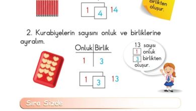 1. Sınıf Matematik Meb Yayınları Sayfa 58 Cevapları