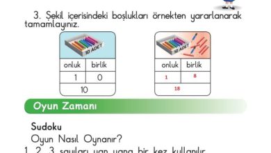 1. Sınıf Matematik Meb Yayınları Sayfa 59 Cevapları