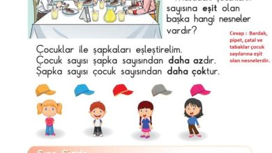 1. Sınıf Matematik Meb Yayınları Sayfa 60 Cevapları