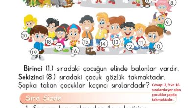 1. Sınıf Matematik Meb Yayınları Sayfa 62 Cevapları