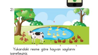 1. Sınıf Matematik Meb Yayınları Sayfa 64 Cevapları