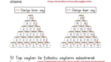 1. Sınıf Matematik Meb Yayınları Sayfa 65 Cevapları