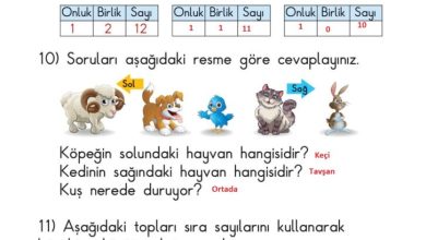 1. Sınıf Matematik Meb Yayınları Sayfa 67 Cevapları