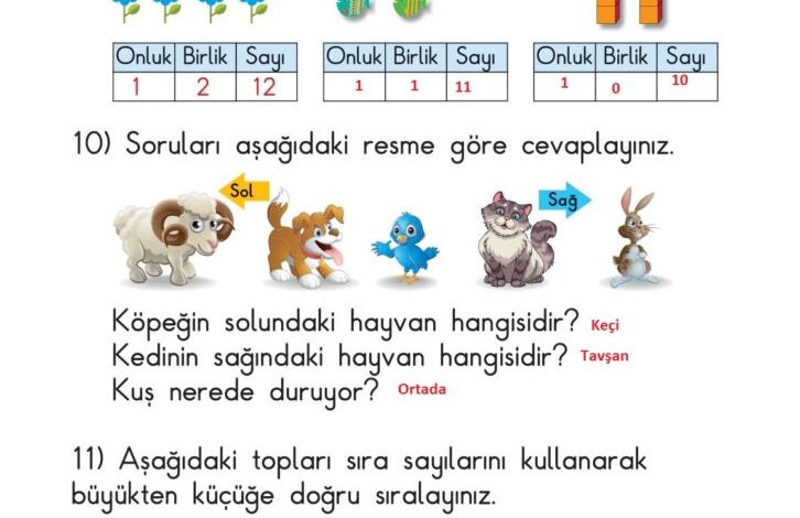 1. Sınıf Matematik Meb Yayınları Sayfa 67 Cevapları