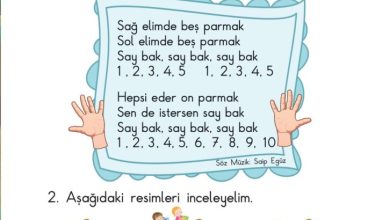 1. Sınıf Matematik Meb Yayınları Sayfa 69 Cevapları