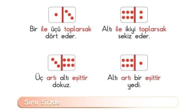 1. Sınıf Matematik Meb Yayınları Sayfa 71 Cevapları