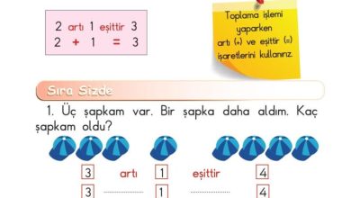 1. Sınıf Matematik Meb Yayınları Sayfa 72 Cevapları