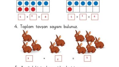 1. Sınıf Matematik Meb Yayınları Sayfa 73 Cevapları