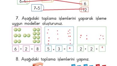 1. Sınıf Matematik Meb Yayınları Sayfa 74 Cevapları