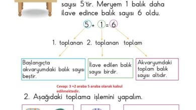 1. Sınıf Matematik Meb Yayınları Sayfa 77 Cevapları