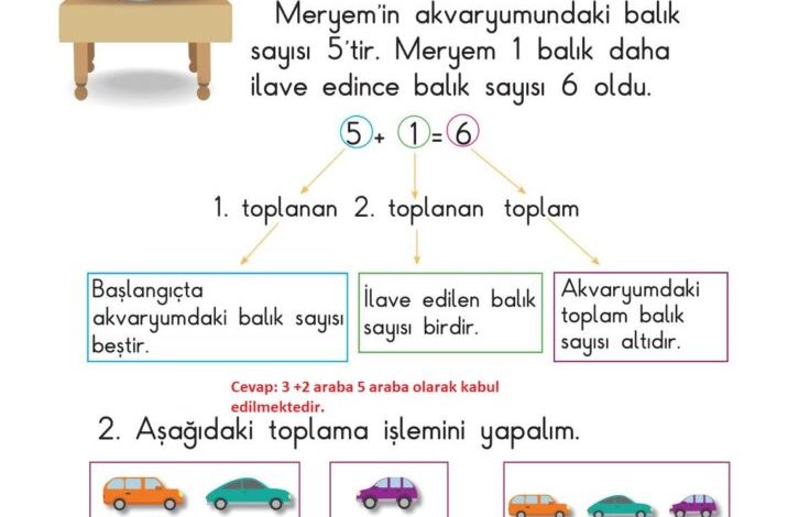 1. Sınıf Matematik Meb Yayınları Sayfa 77 Cevapları