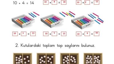 1. Sınıf Matematik Meb Yayınları Sayfa 78 Cevapları