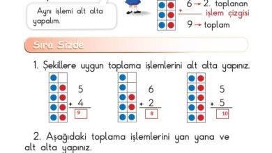 1. Sınıf Matematik Meb Yayınları Sayfa 79 Cevapları