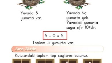 1. Sınıf Matematik Meb Yayınları Sayfa 80 Cevapları