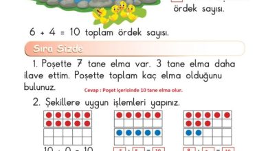 1. Sınıf Matematik Meb Yayınları Sayfa 81 Cevapları