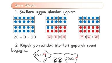 1. Sınıf Matematik Meb Yayınları Sayfa 82 Cevapları