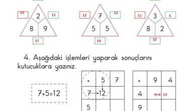 1. Sınıf Matematik Meb Yayınları Sayfa 83 Cevapları