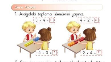 1. Sınıf Matematik Meb Yayınları Sayfa 84 Cevapları