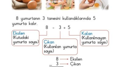 1. Sınıf Matematik Meb Yayınları Sayfa 94 Cevapları