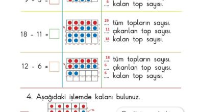 1. Sınıf Matematik Meb Yayınları Sayfa 96 Cevapları