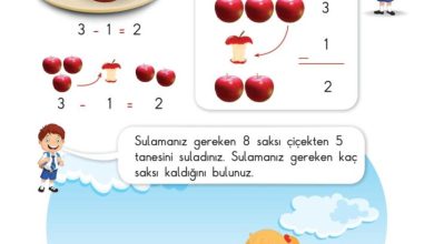 1. Sınıf Matematik Meb Yayınları Sayfa 97 Cevapları