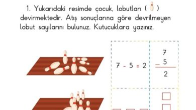 1. Sınıf Matematik Meb Yayınları Sayfa 98 Cevapları