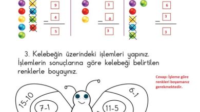 1. Sınıf Matematik Meb Yayınları Sayfa 99 Cevapları