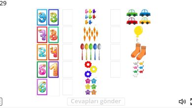 1. Sınıf Nesne ve Sayı Eşleştirme Oyunu – 2