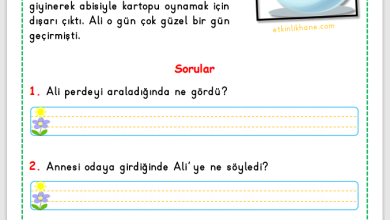 1. Sınıf Okuma Anlama Metni 1 (Kar Tatili)