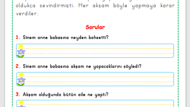 1. Sınıf Okuma Anlama Metni 11 (Kitap okuma)