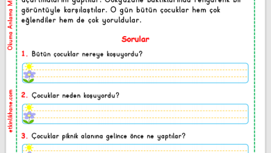 1. Sınıf Okuma Anlama Metni 13  (Uçurtma)