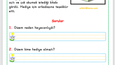 1. Sınıf Okuma Anlama Metni 2 (Hediye)