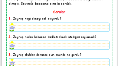 1. Sınıf Okuma Anlama Metni 3 (Bisiklet)