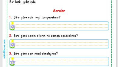 1. Sınıf Okuma Anlama Metni 4 (Anneme Verdiğim Söz Şiiri)