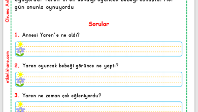 1. Sınıf Okuma Anlama Metni 6 (Oyuncak Bebek)