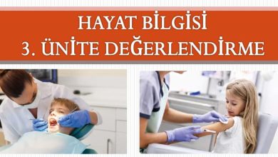 1. Sınıf Sağlıklı Hayat Ünitesi Etkinlikleri