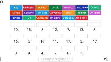 1. Sınıf Sıra Bildiren Sayılar Oyunu