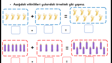 1. Sınıf Toplama İşleminin Anlamı Etkinlikleri