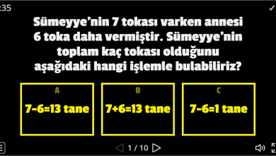 1. Sınıf Toplama Problemleri Oyunu