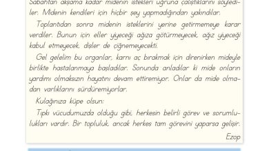 1. Sınıf Türkçe Ada Matbaacılık Yayıncılık Sayfa 104 Cevapları