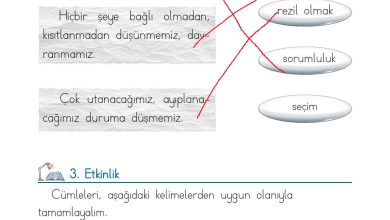 1. Sınıf Türkçe Ada Matbaacılık Yayıncılık Sayfa 99 Cevapları